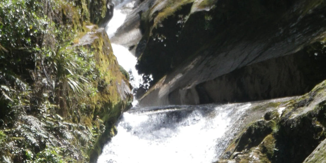 A-Journey-through-the-Pristine-Rainforests-of-Abel-Tasman-National-Park-New-Zealand Water4